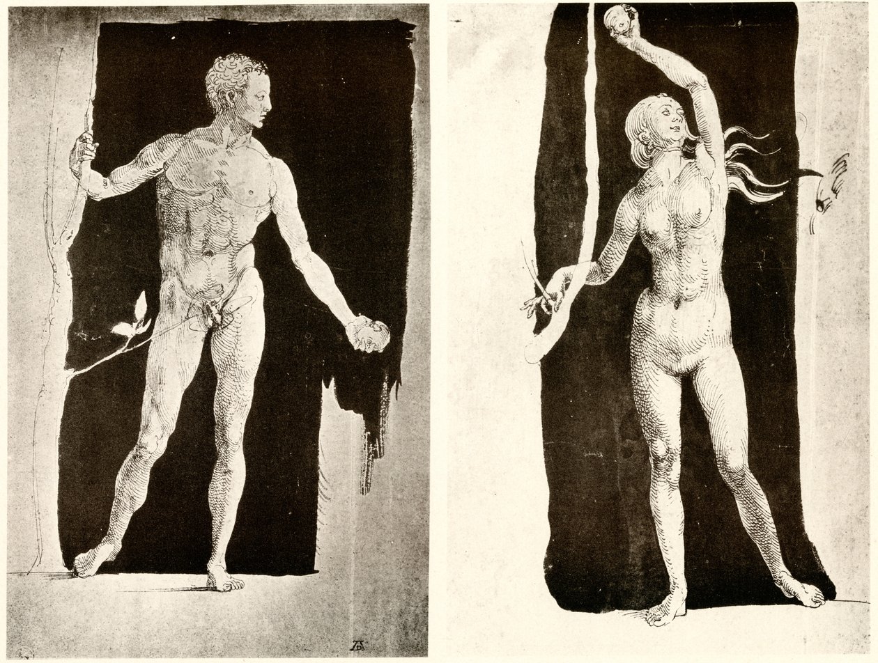 Studier om Adam och Eva av Albrecht Dürer