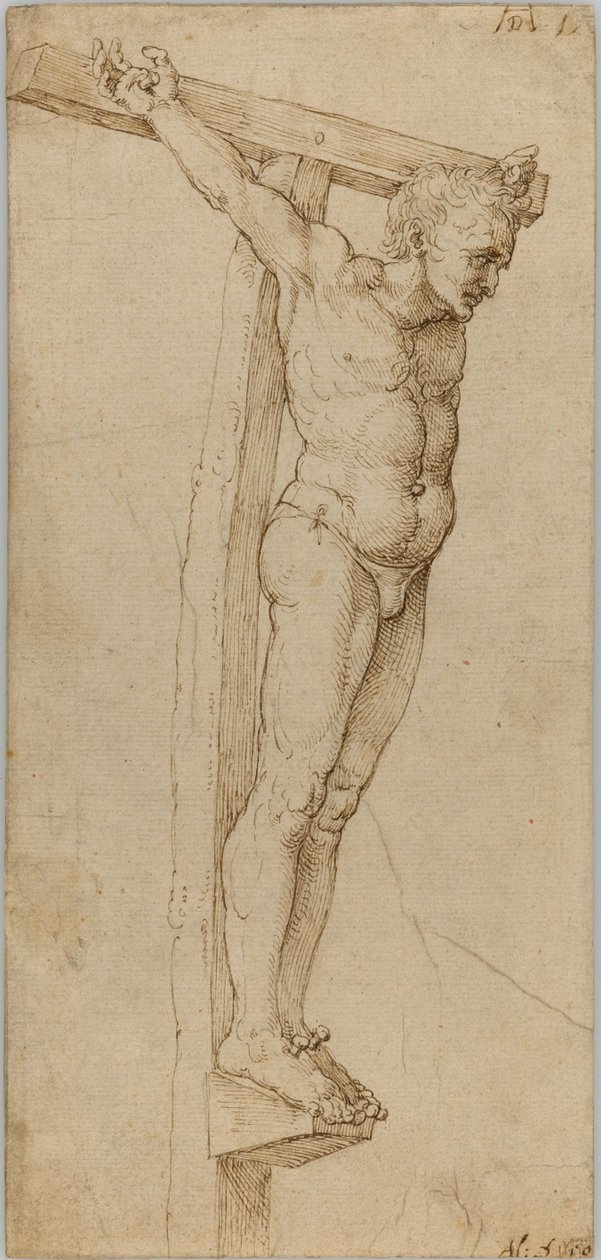 Studie av den gode tjuven av Albrecht Dürer