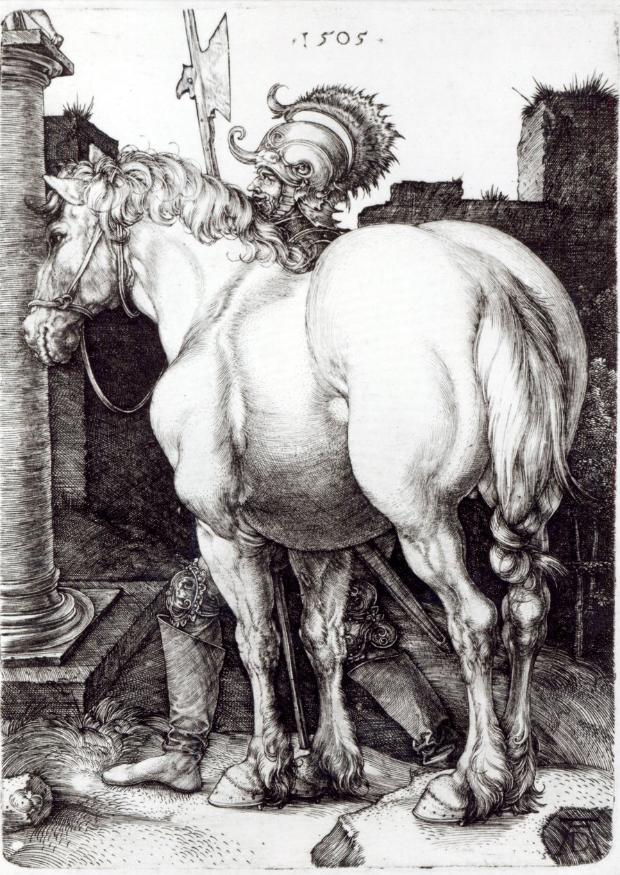 Den stora hästen, 1509 av Albrecht Dürer