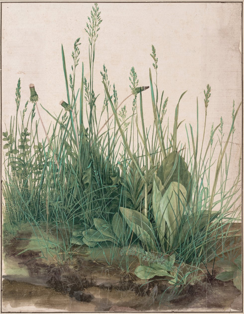 Det stora gräset, 1503 av Albrecht Dürer