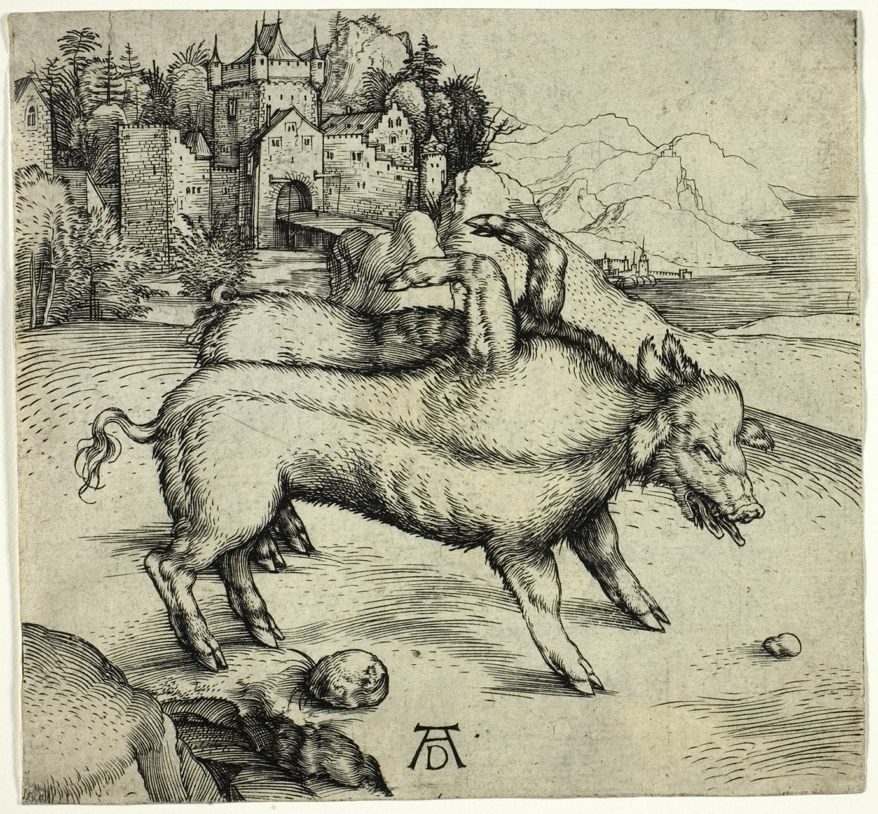 Den monstruösa suggan av Landser av Albrecht Dürer
