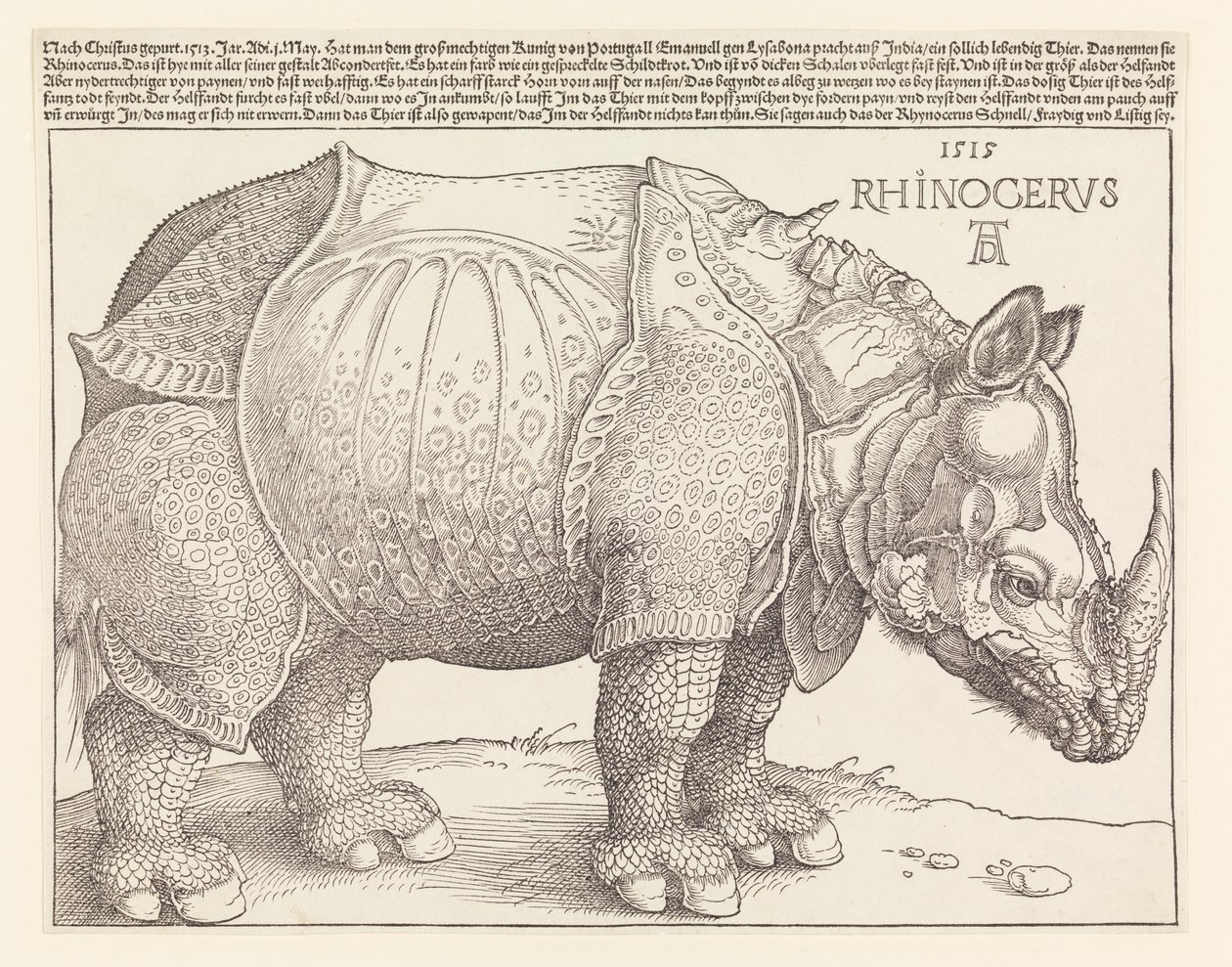 Noshörningen av Albrecht Dürer