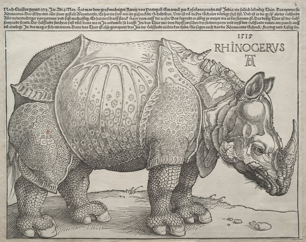 Noshörningen av Albrecht Dürer