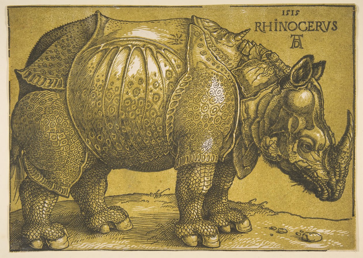 Noshörningen, efter 1620. av Albrecht Dürer