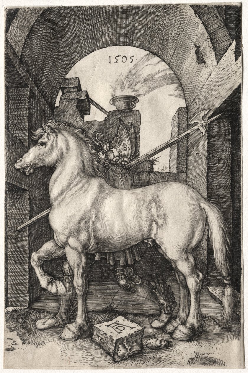 Den lilla hästen av Albrecht Dürer