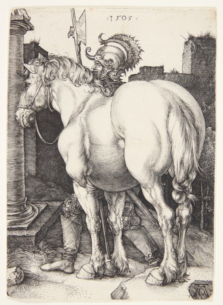 Den stora hästen av Albrecht Dürer
