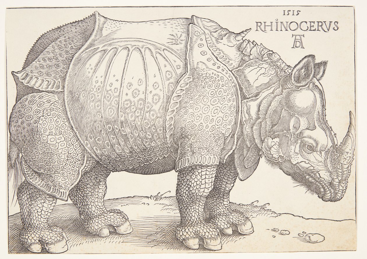 Noshörningen av Albrecht Dürer
