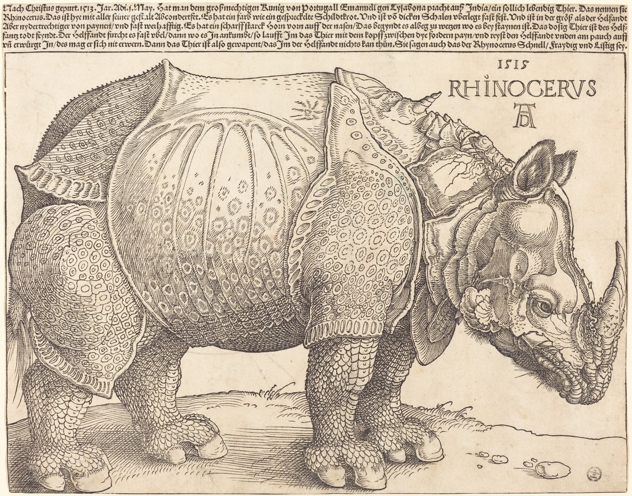 Noshörningen av Albrecht Dürer
