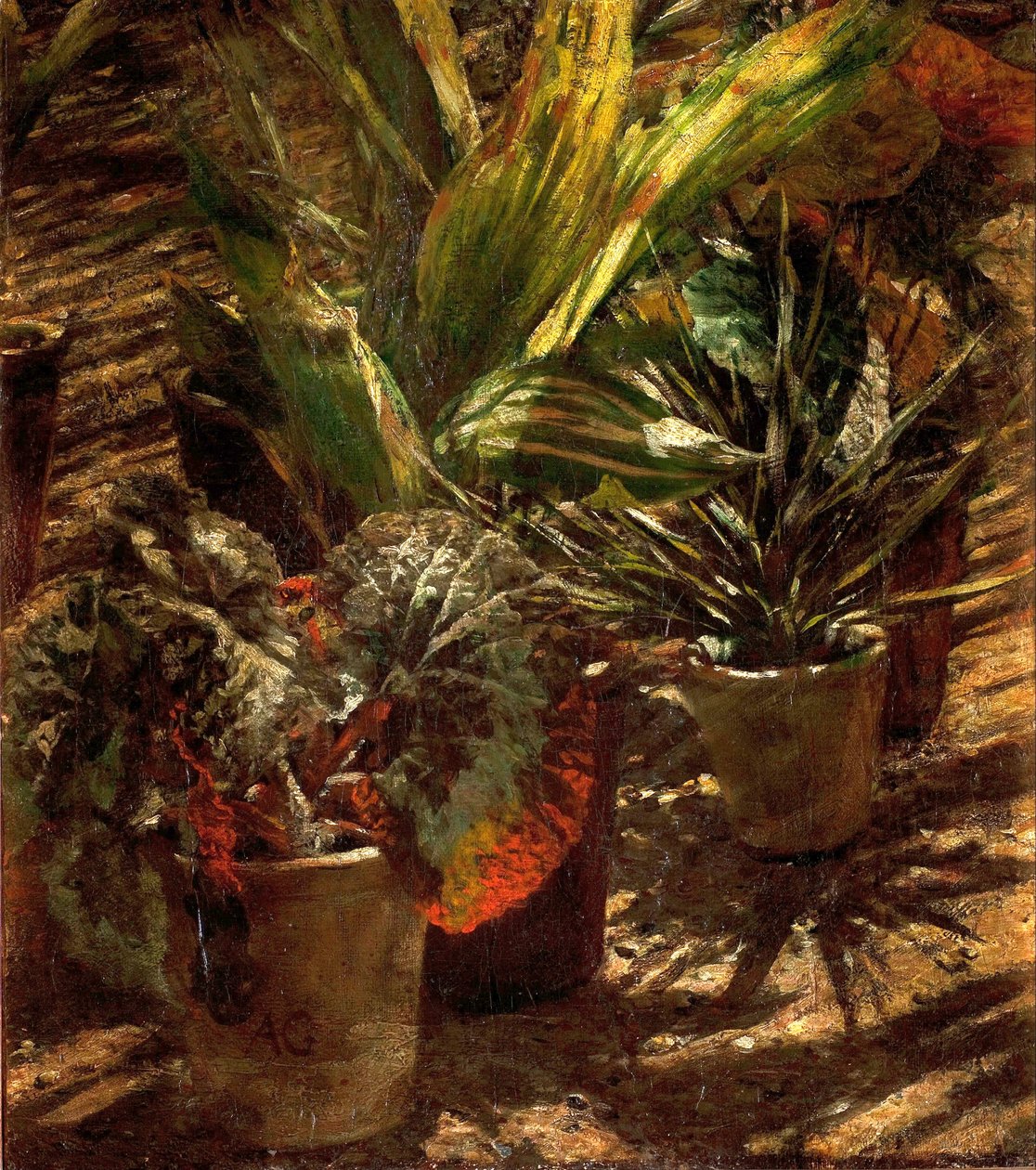 Begonior. av Aleksander Gierymski