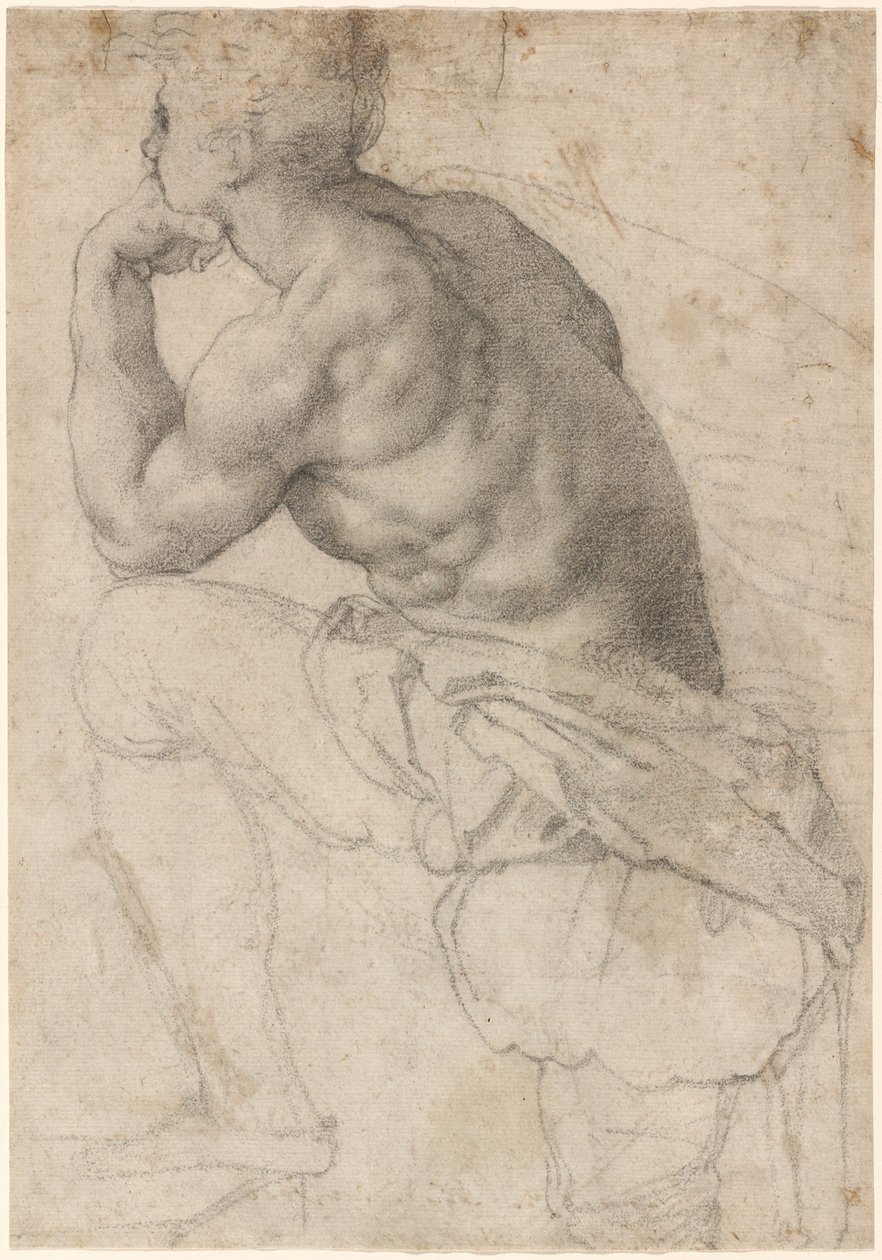 En pärldykare av Alessandro Allori