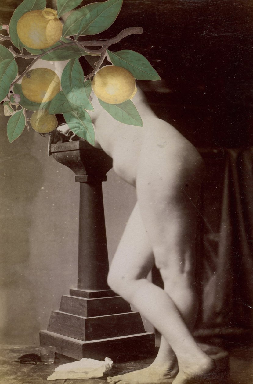 Alliance, 2020 (collage) av Alex Caminker