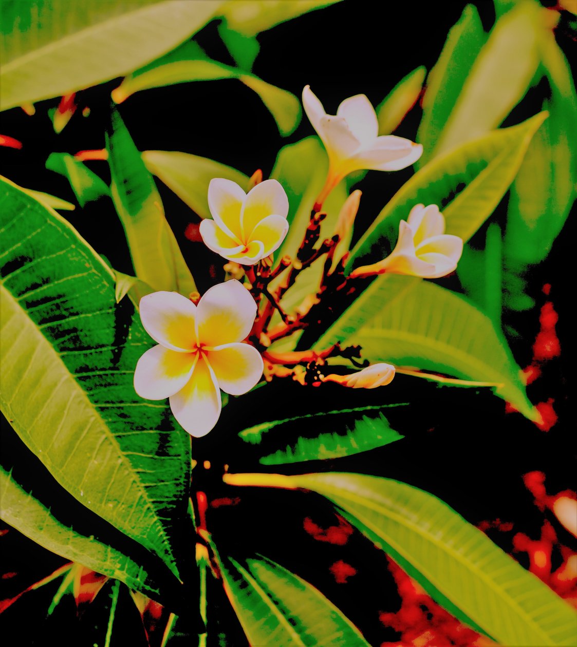 Colours-conditions,2019,(fotografi) av Alex Caminker