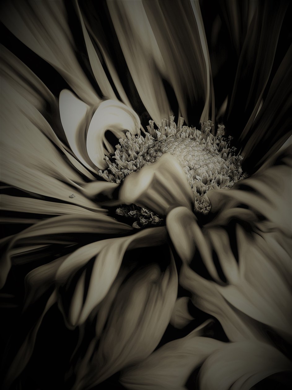 Inre space, 2019, (fotografi) av Alex Caminker