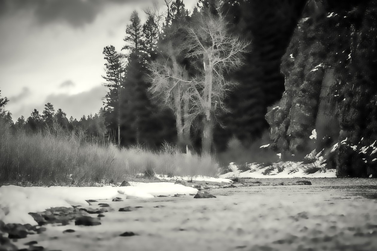 accenter, 2019, (fotografi) av Alex Caminker