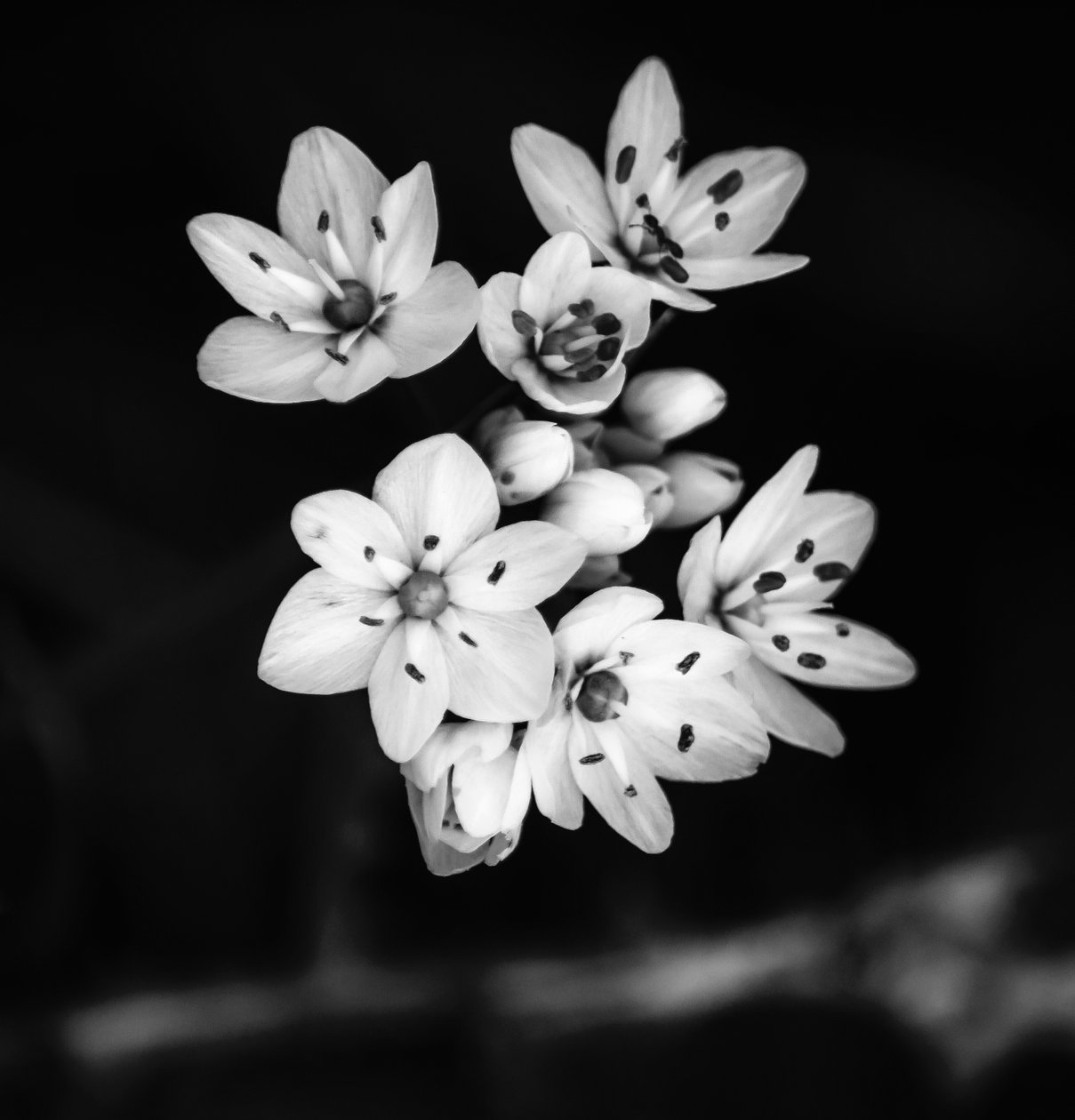 relation, 2019, (fotografi) av Alex Caminker