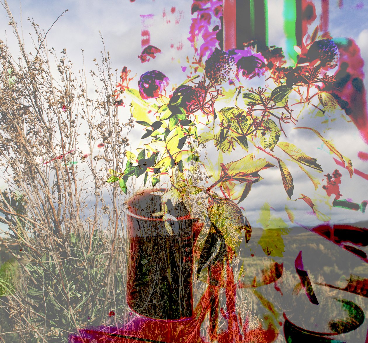 stilleben, 2019, (collage) av Alex Caminker