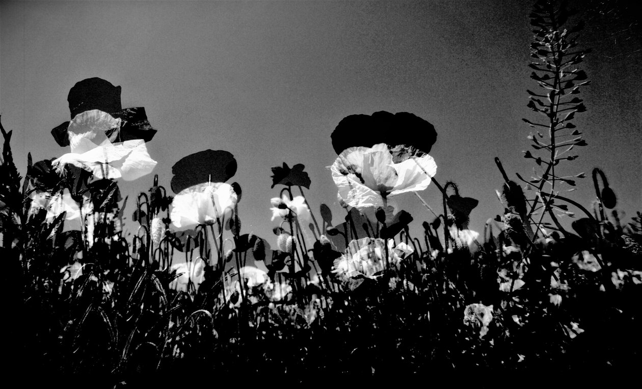 teater, 2019, (fotografi) av Alex Caminker