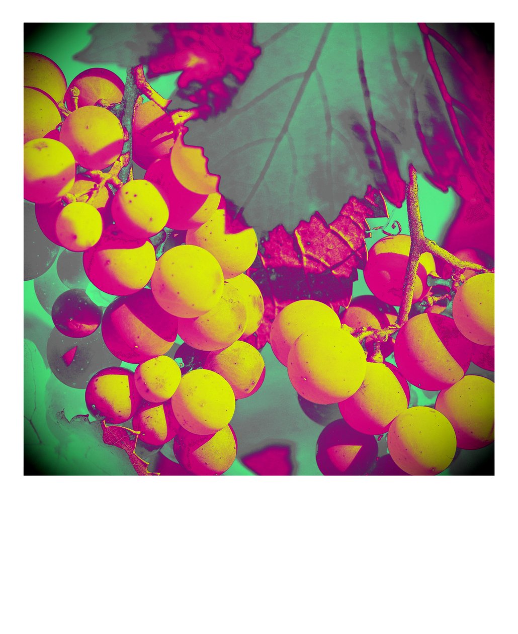 untitled,2019,(fotografi) av Alex Caminker