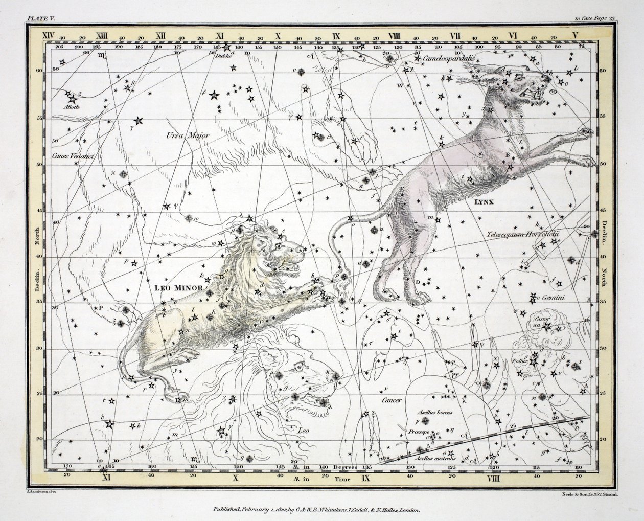 Stjärnbilderna (planka V) Lynx, Leo Minor, från "A Celestial Atlas" av Alexander Jamieson, pub. London 1822 (handkolorerad gravyr); av Alexander Jamieson