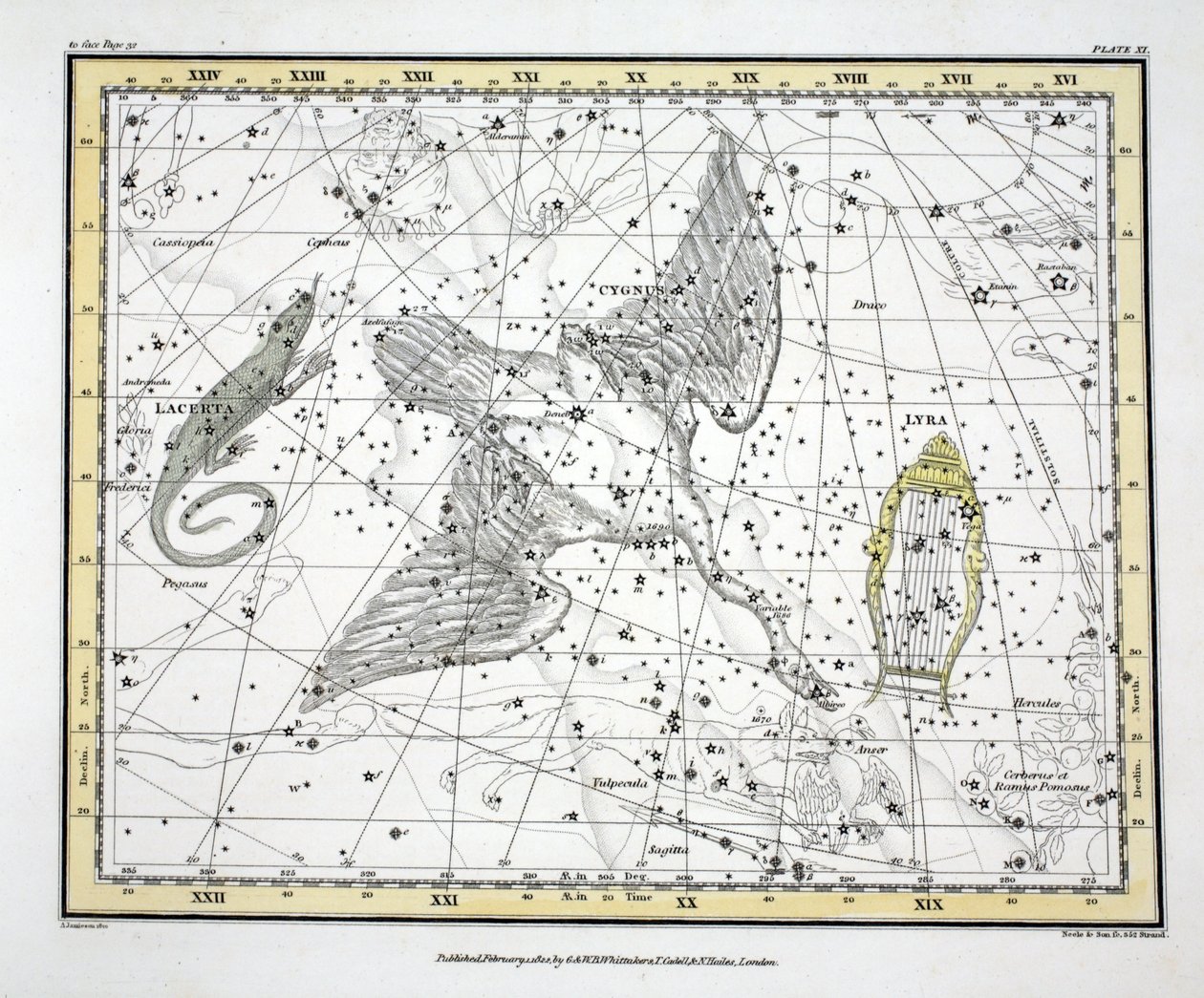 Stjärnbilderna (bild XI) Cygnus, Lacerta och Via Lactea, från "A Celestial Atlas" av Alexander Jamieson, pub. London 1822 (handkolorerad gravyr) av Alexander Jamieson