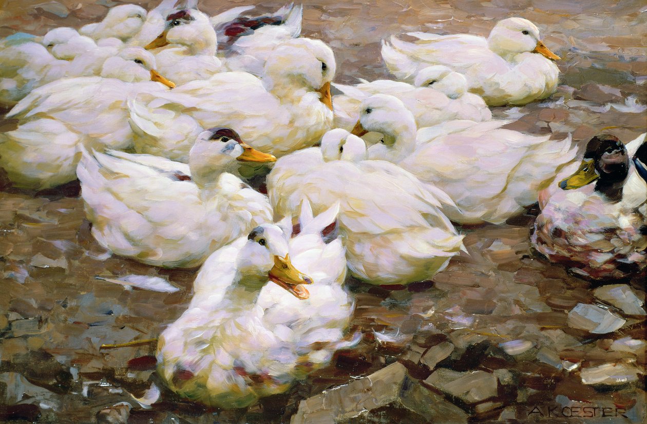 Ankor på en damm av Alexander Koester