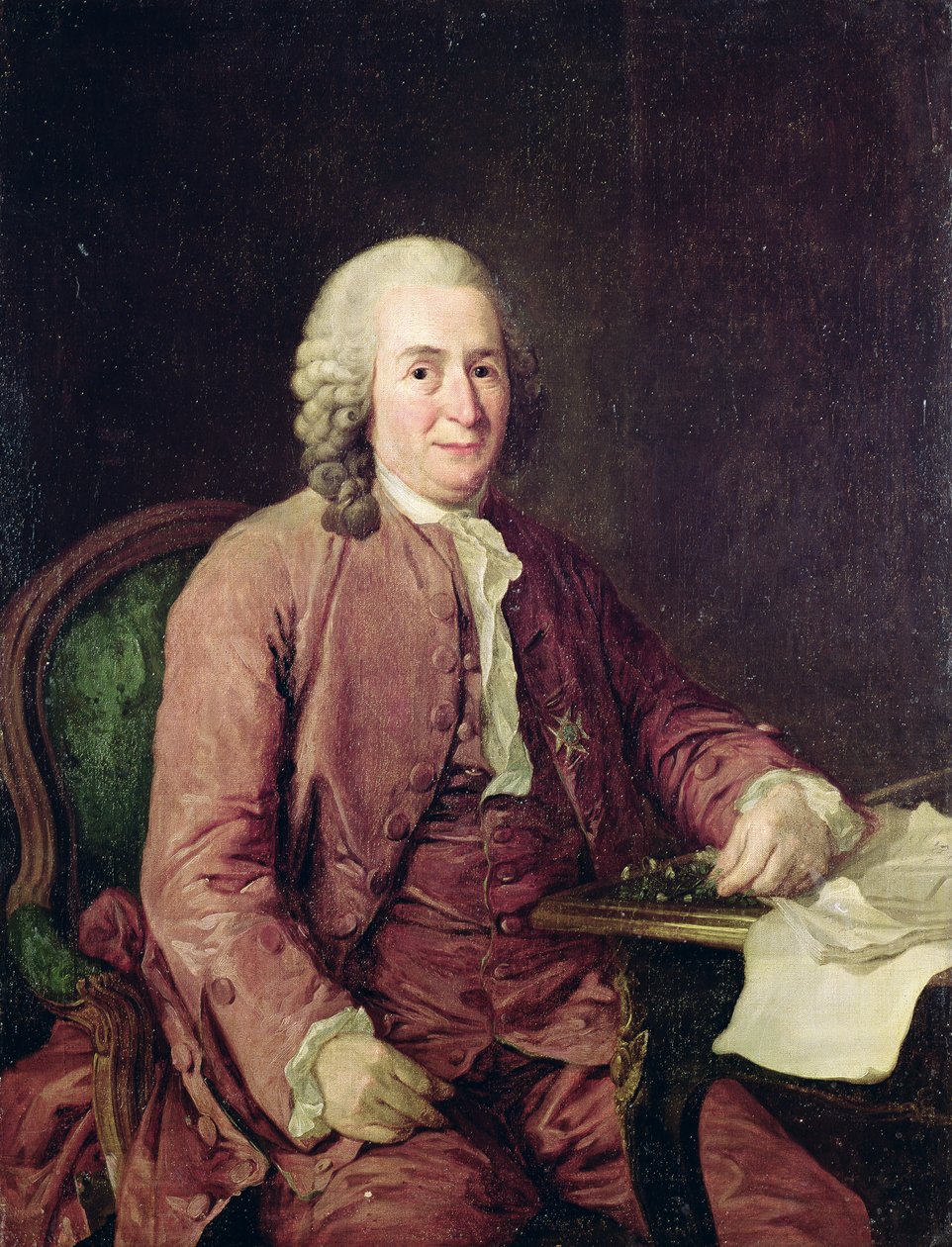 Porträtt av Carl von Linné (1707-78) av Alexander Roslin