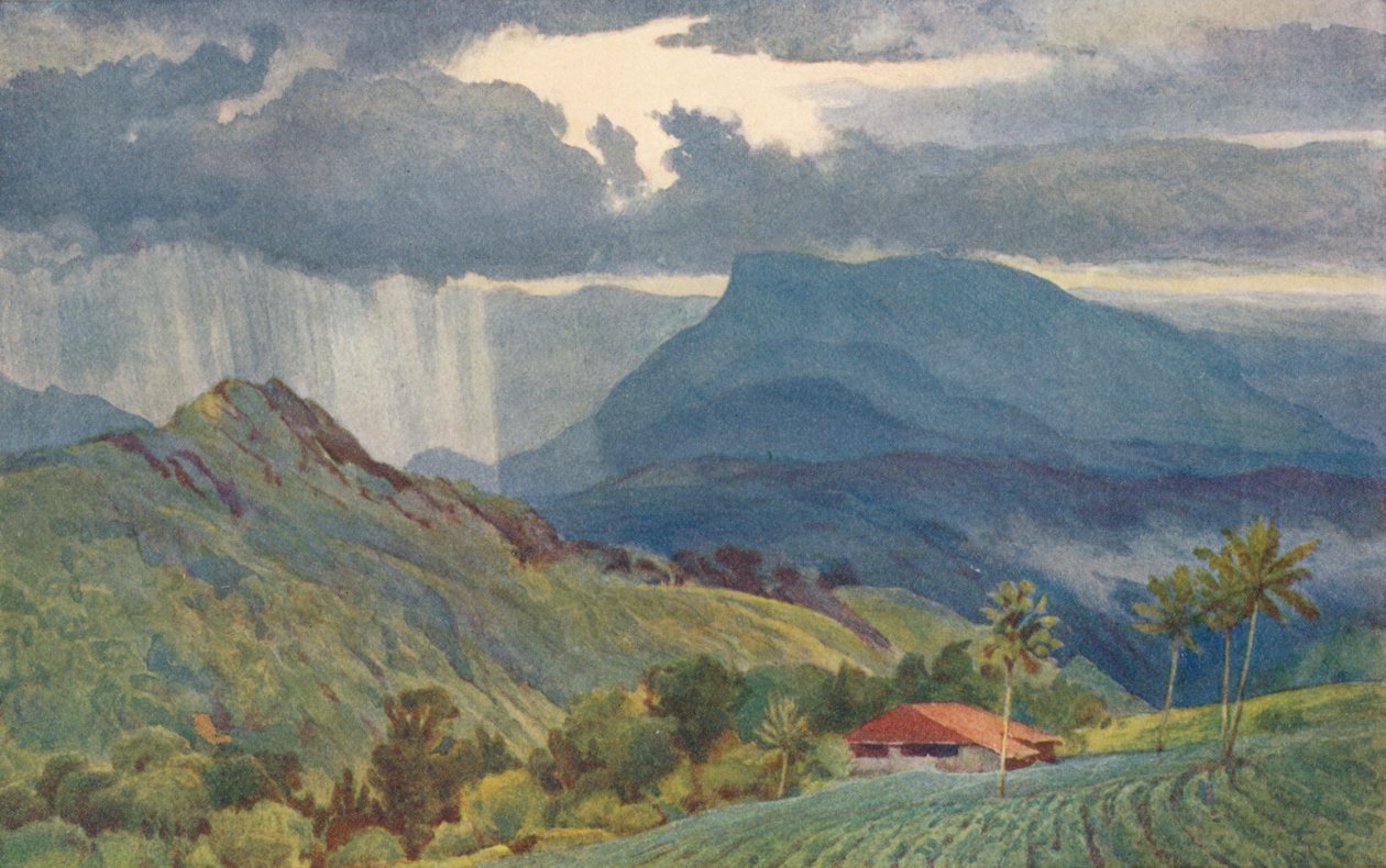 En tropisk dusch, c1880 1905. av Alexander Henry Hallam Murray