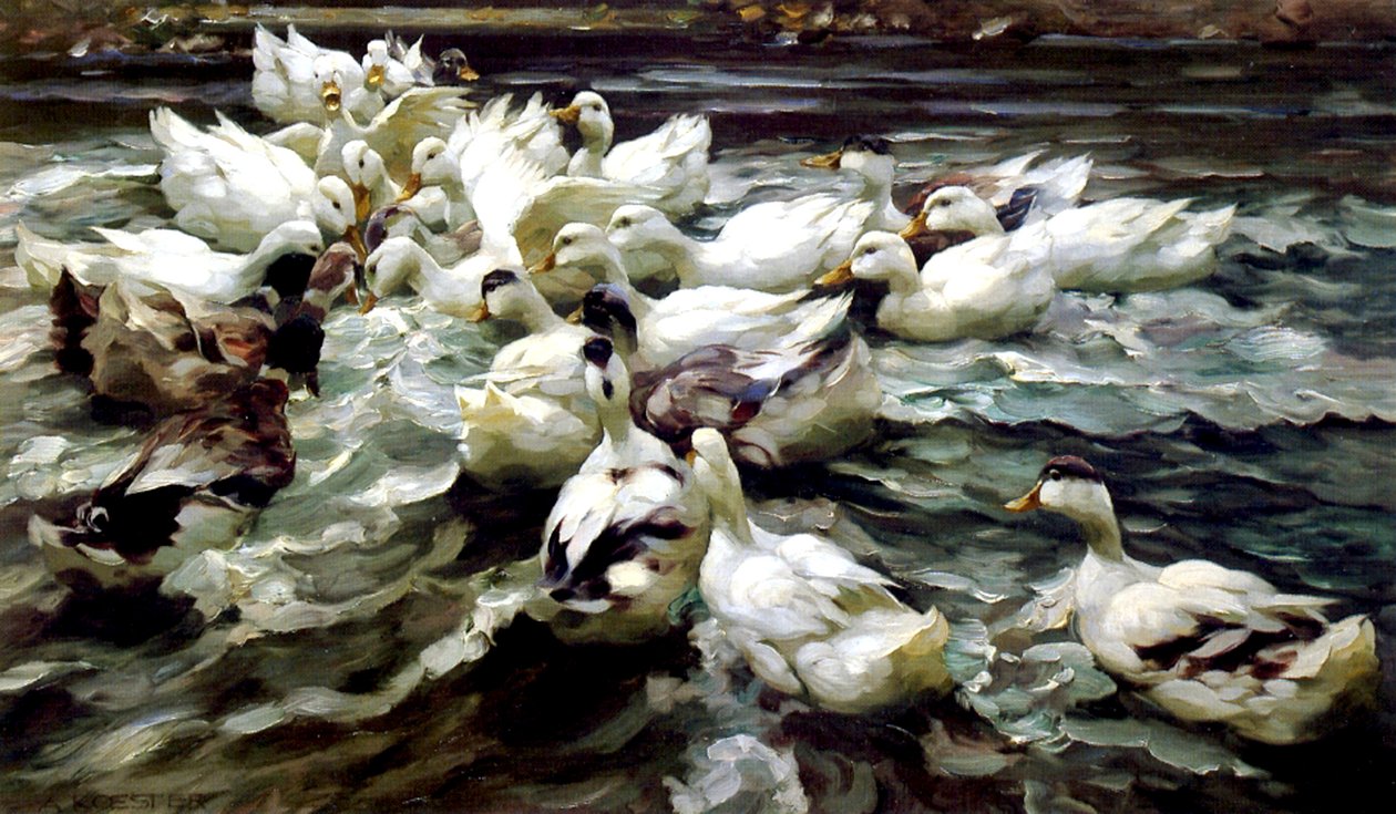 Ducks Gathering (olja på duk) av Alexander Koester