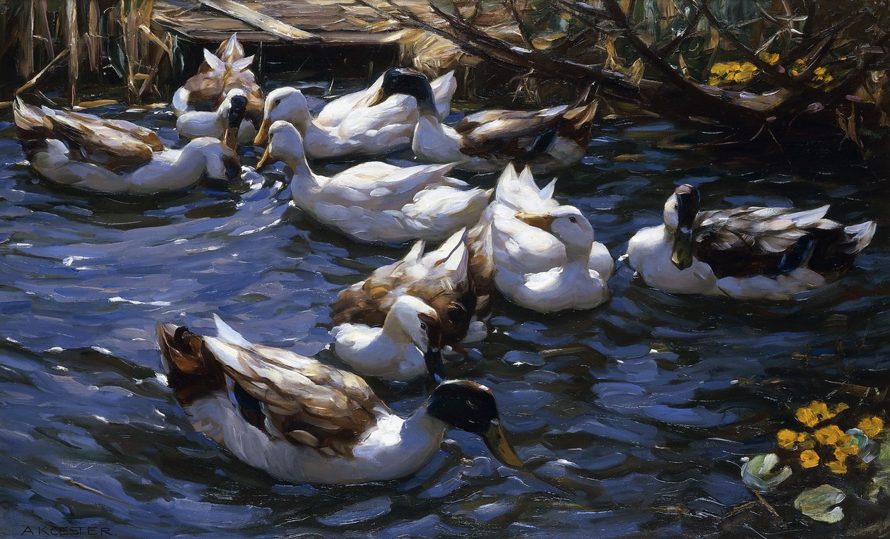 Ankor i vassen under grenarna av Alexander Koester