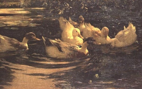 Ankor på en damm av Alexander Koester