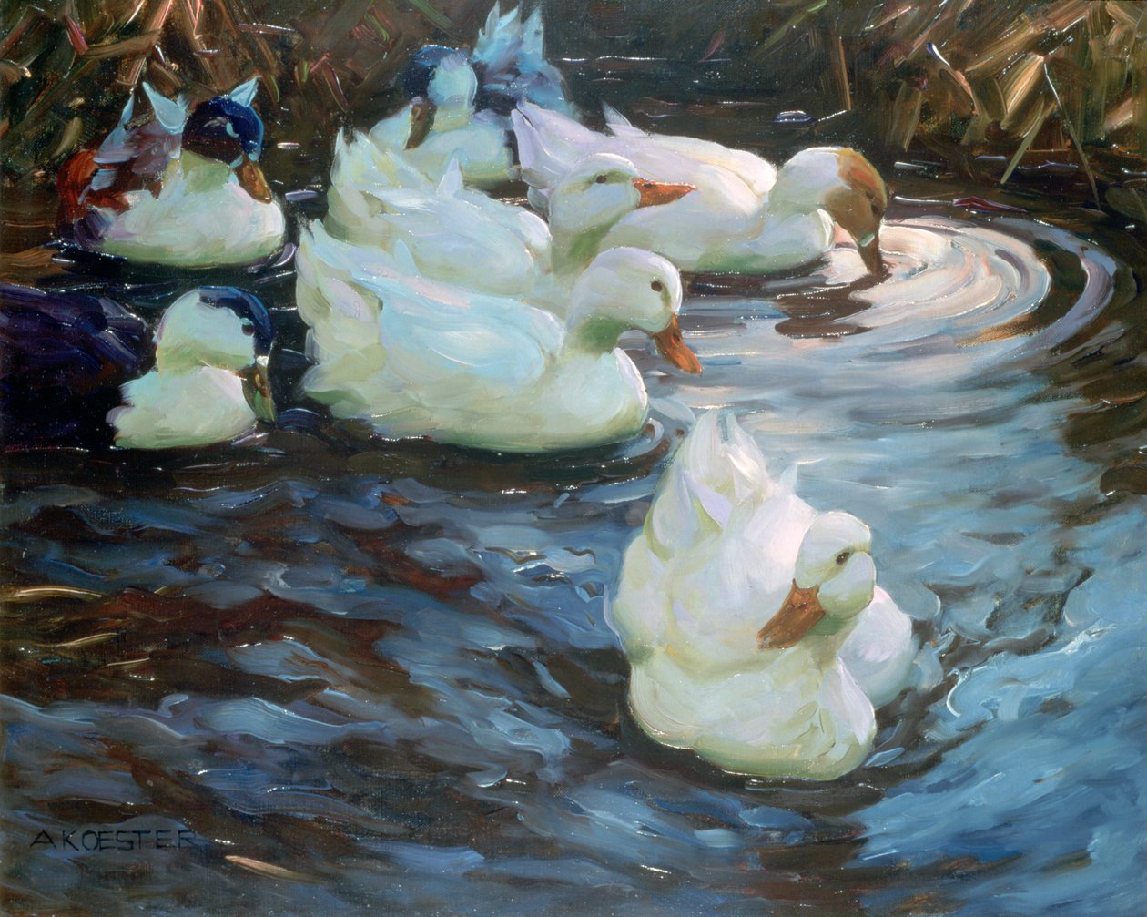 Ankor på en damm, c1884-1932 av Alexander Koester