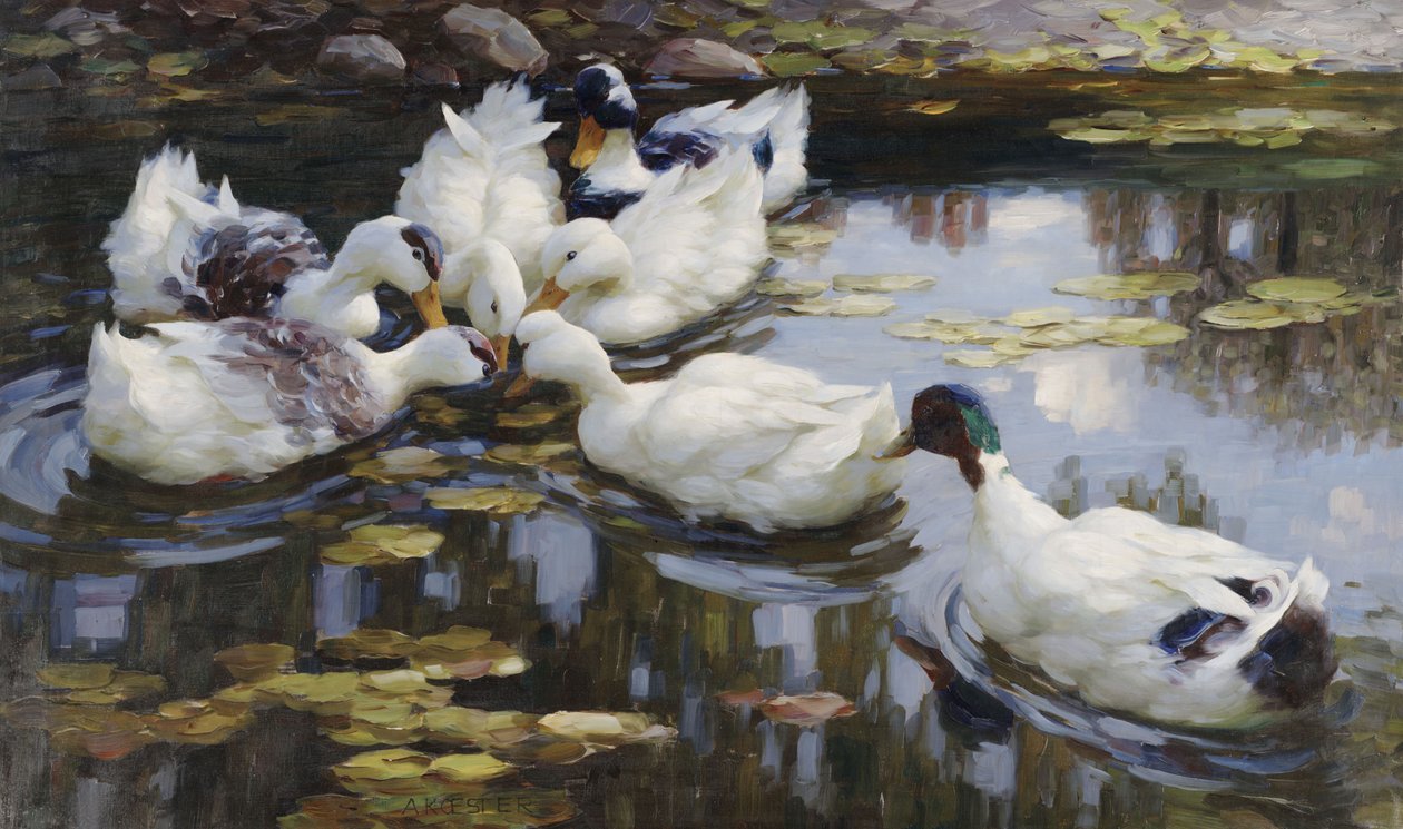Ankdammen av Alexander Koester