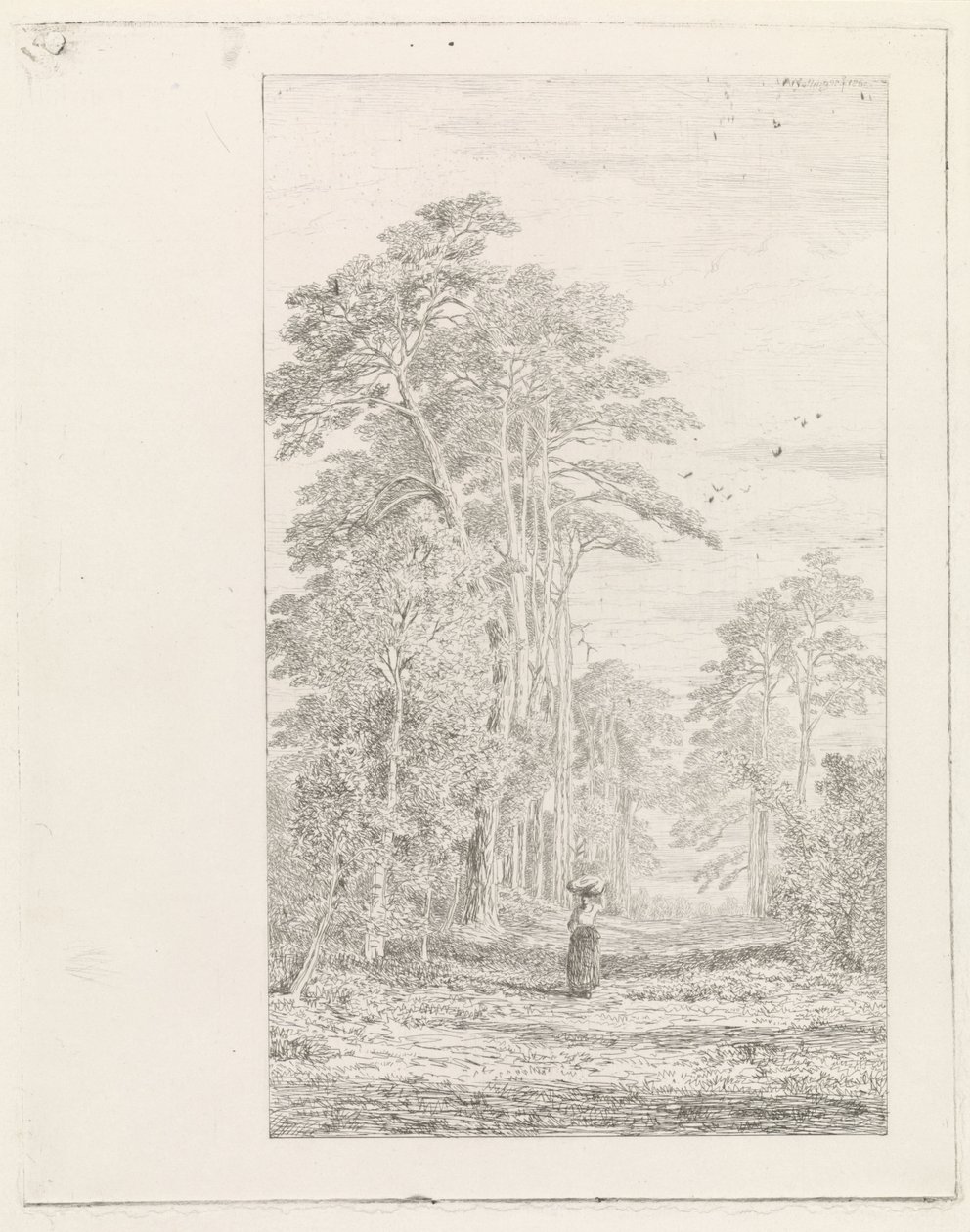 tall allé av Alexander Mollinger