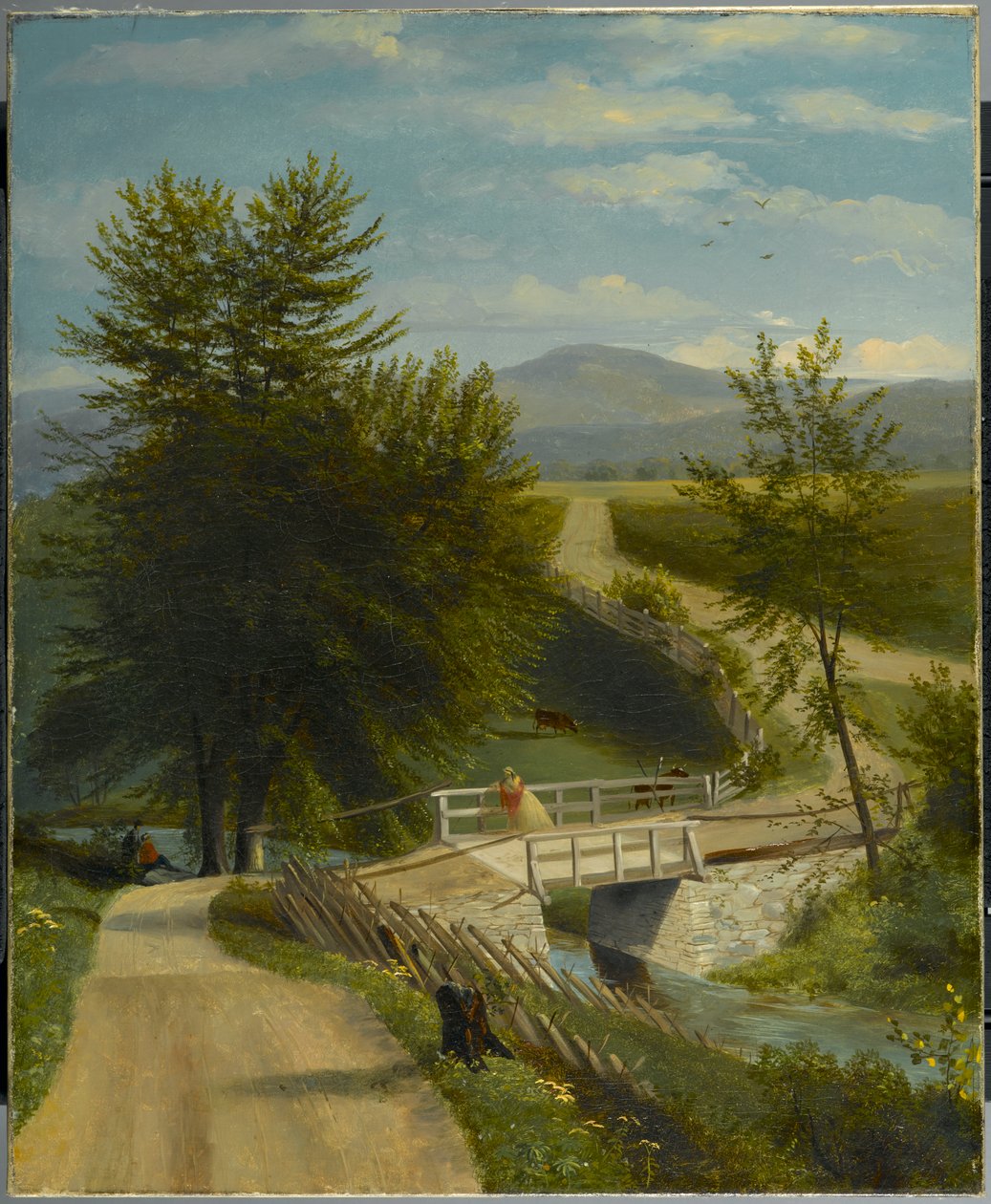 swed av Alexander Ransom
