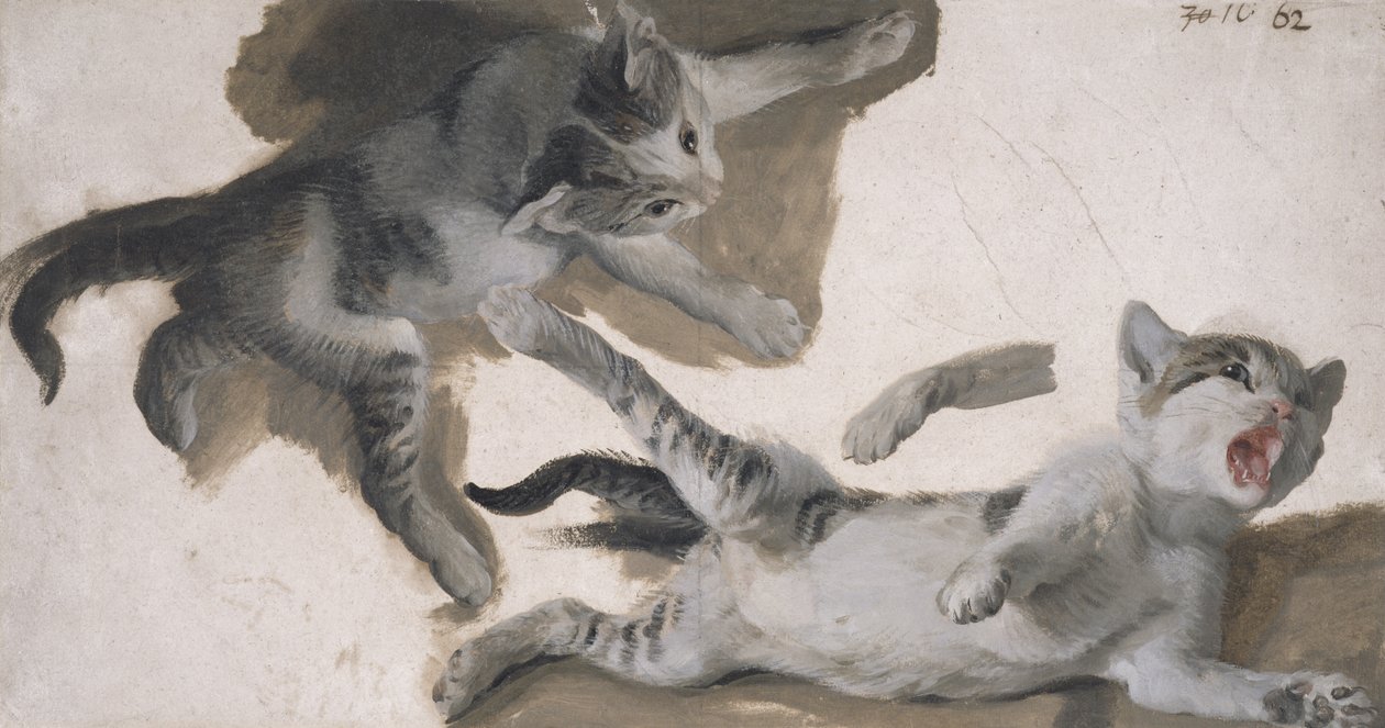 Skisser av en kattunge (olja på papper) av Alexandre Francois Desportes