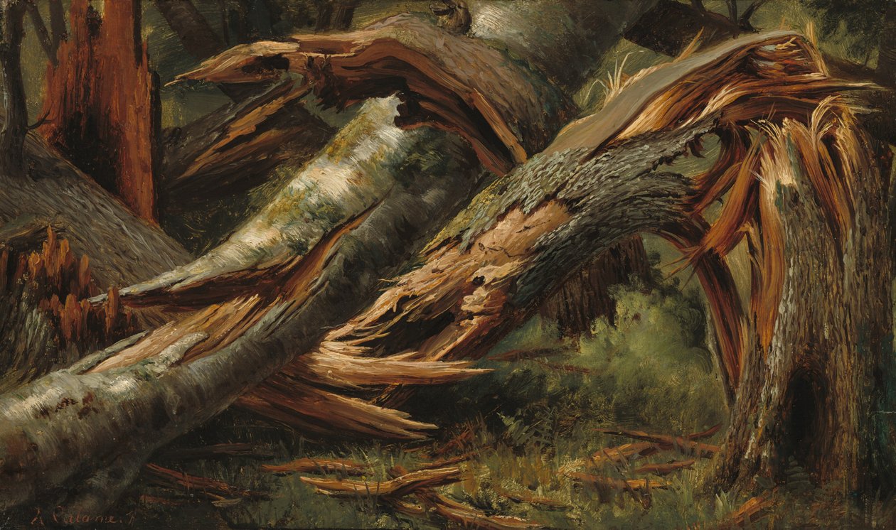 Fallet träd, 18391845. av Alexandre Calame