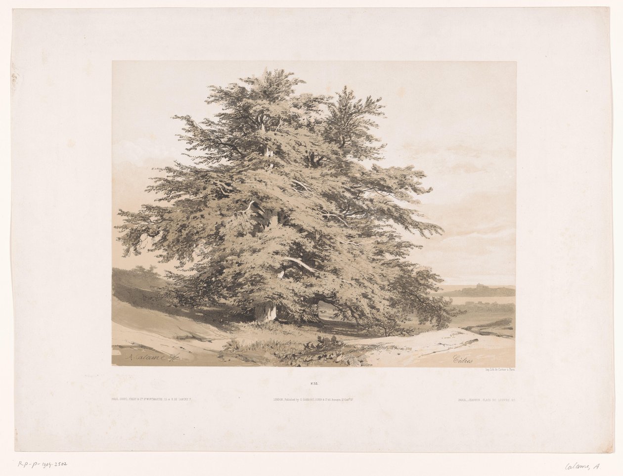 Landskap med cedrar Cedres (titel på objekt) av Alexandre Calame