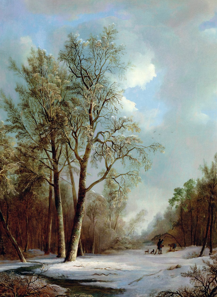 Snö scen av Alexis de Leeuw