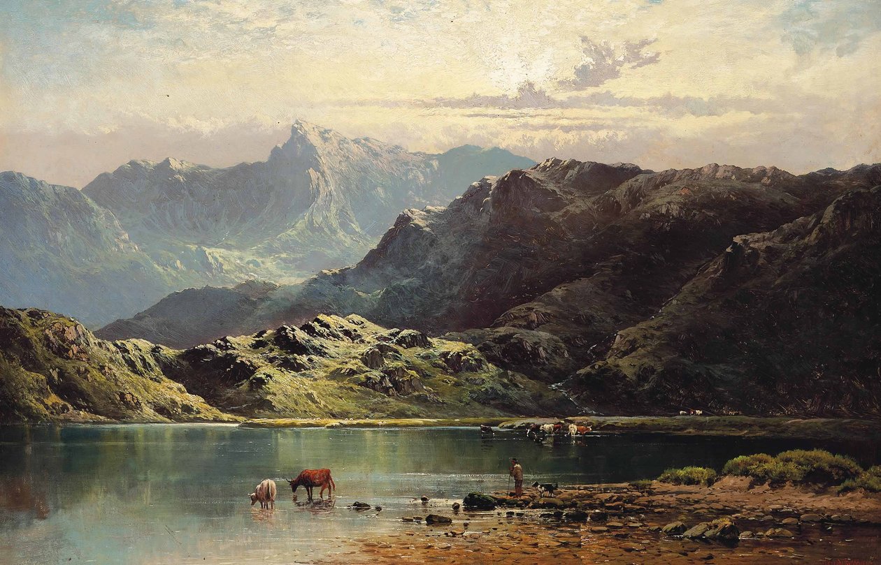 Cattle watering at the edge of a loch, late afternoon av Alfred de Breanski