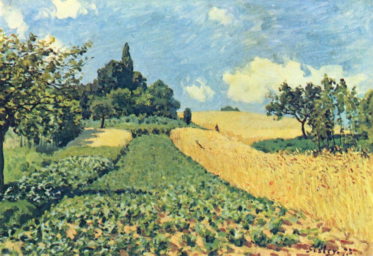 Getreidefelder auf den Hügeln von Argenteuil av Alfred Sisley