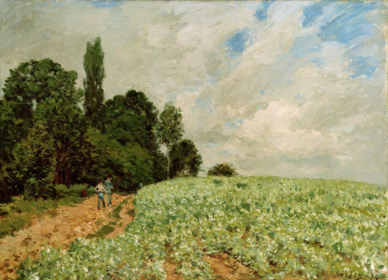 Klöverfältet av Alfred Sisley
