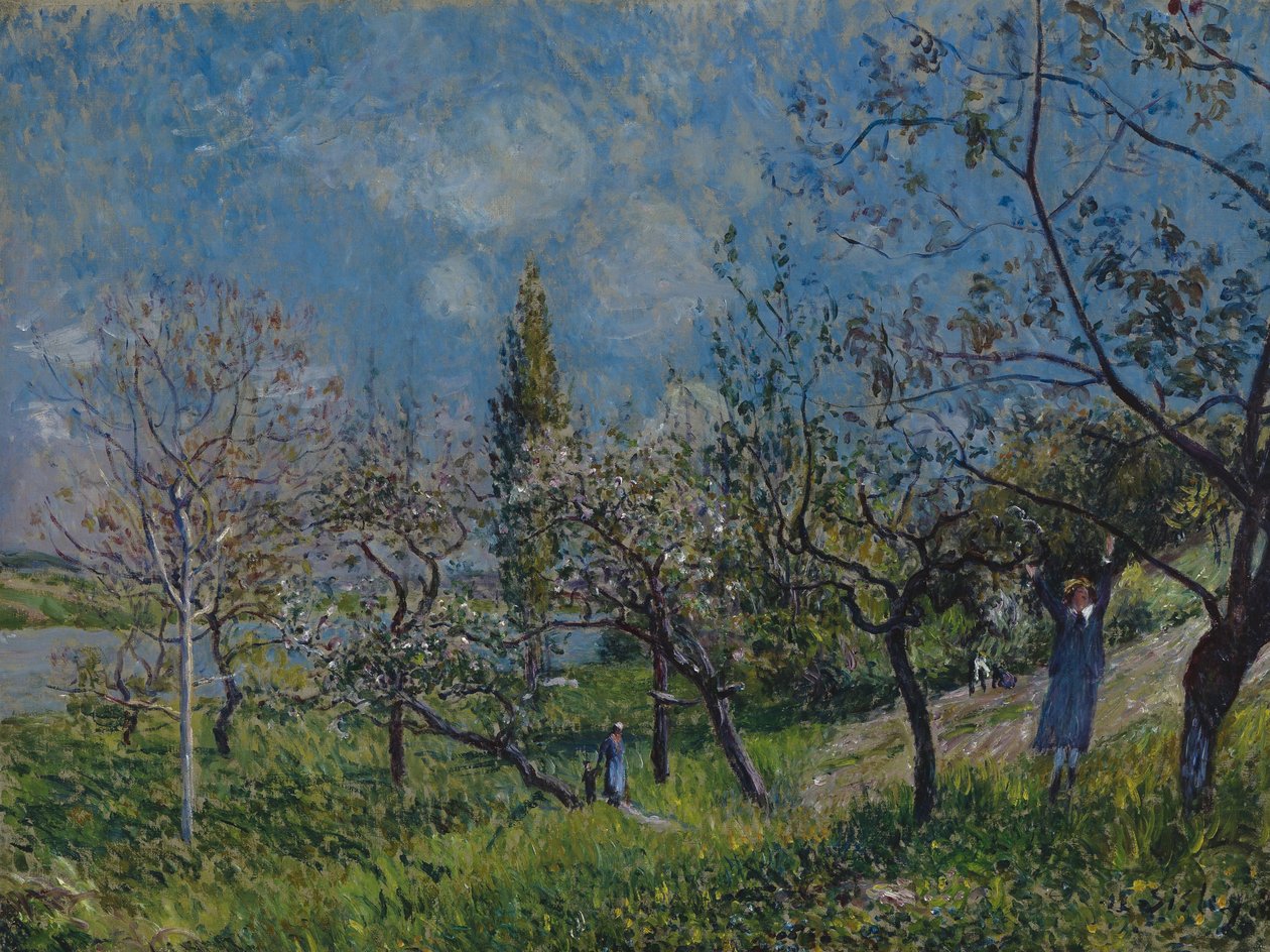 Orchard in Spring av Alfred Sisley