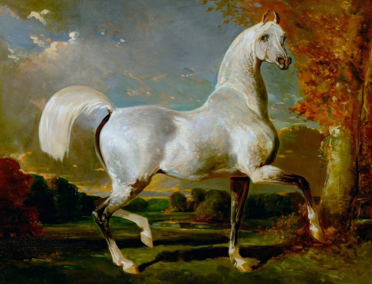 Arabhingst av Alfred Dedreux