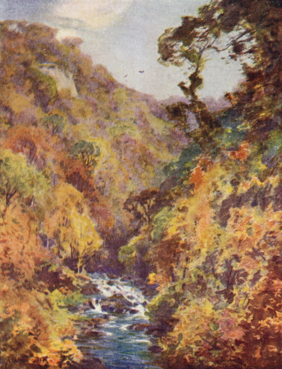 The Dargle, County Wicklow av Alfred Heaton Cooper