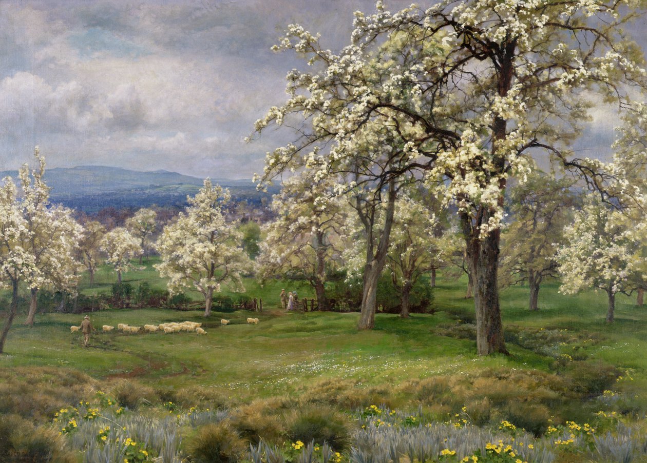 Päronträdgården, ca 1903 av Alfred Parsons