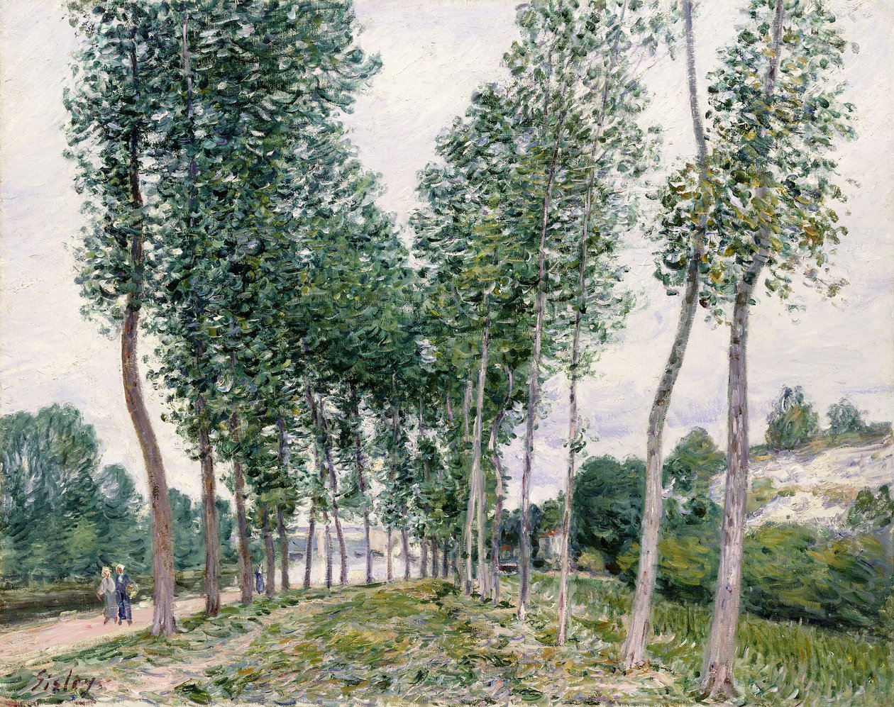 Poplars gränd längs Loing, 1892 av Alfred Sisley