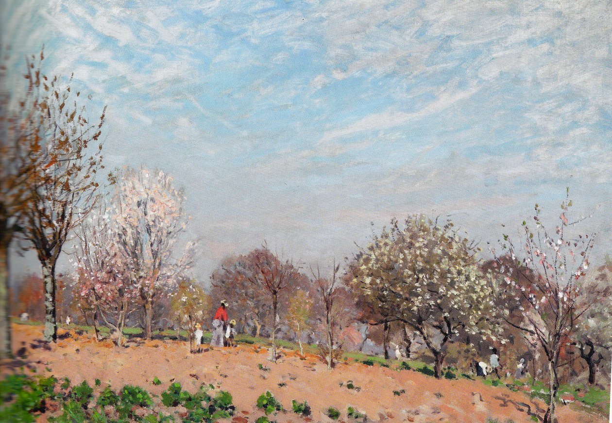 Äppelträd i blom vid Louveciennes av Alfred Sisley