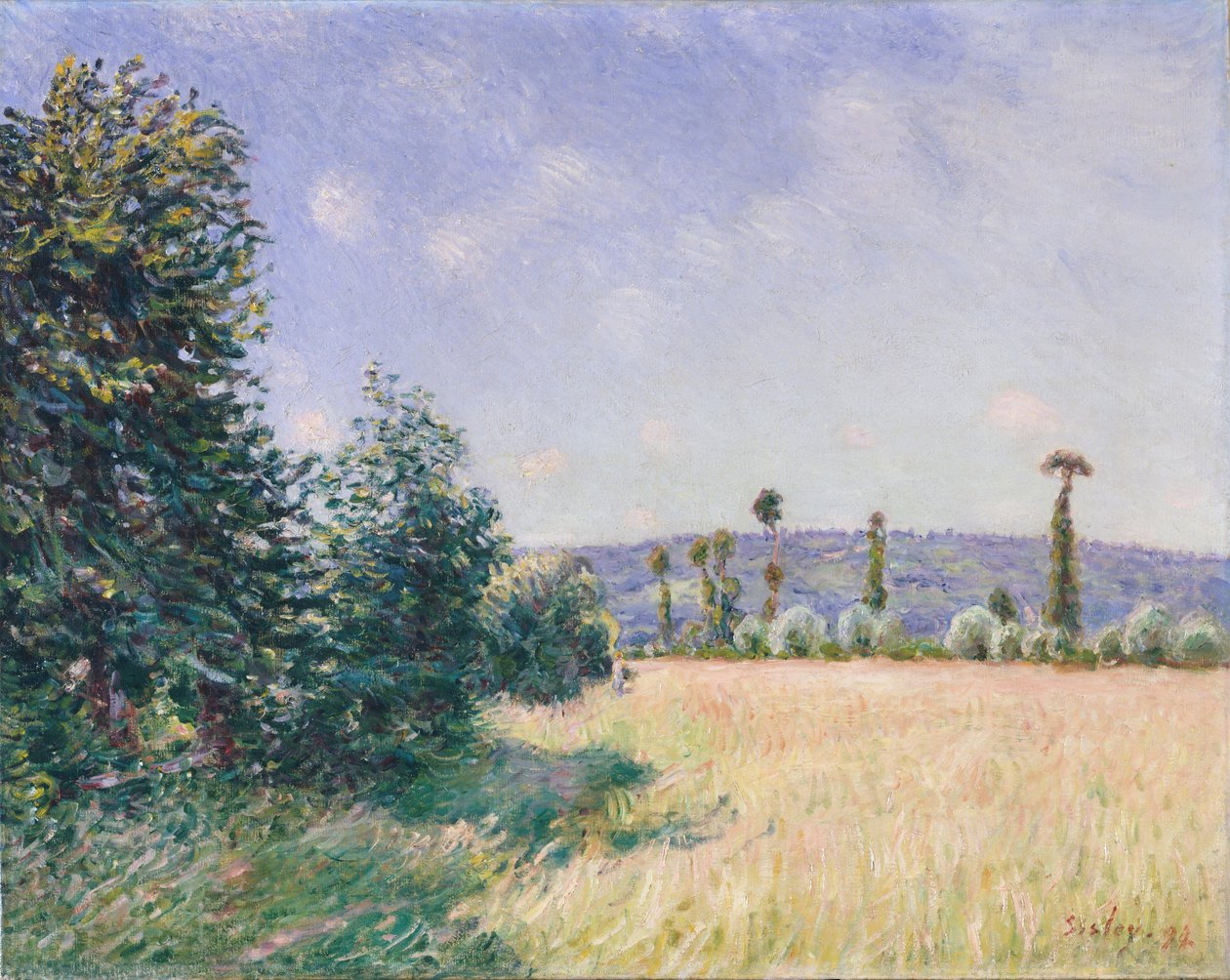 Sahurs Meadows in Morning Sun, 1894 av Alfred Sisley