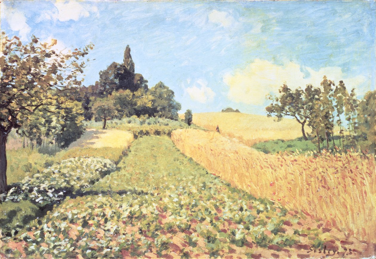 Wheat Field (olja på duk) av Alfred Sisley