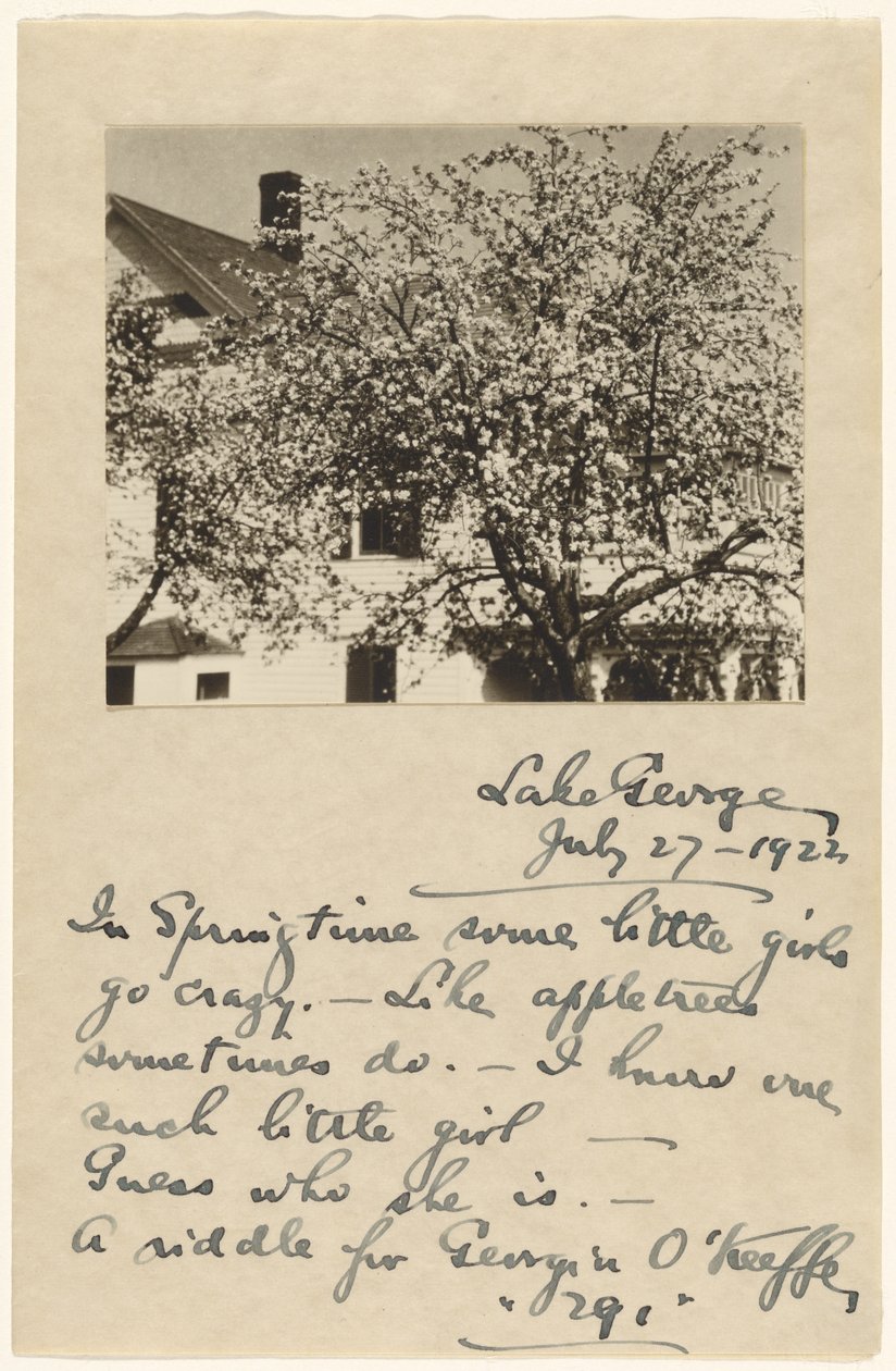 [Apple Blossoms] av Alfred Stieglitz